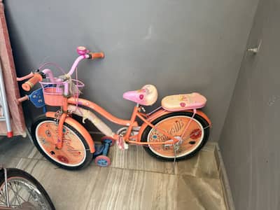 Slightly used girls bicycles