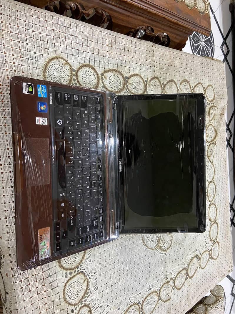 owner 9