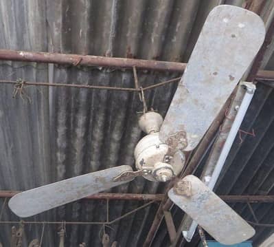 sell your ceiling fan at a good price