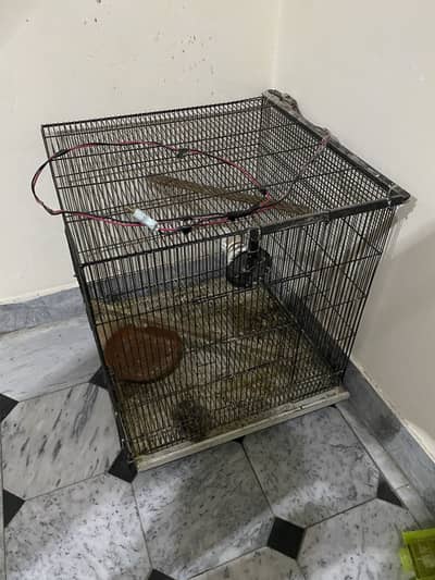 2 by 2 cage for sale