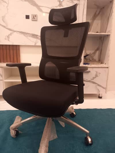 Blackie Ergonomic Office Chair Imported