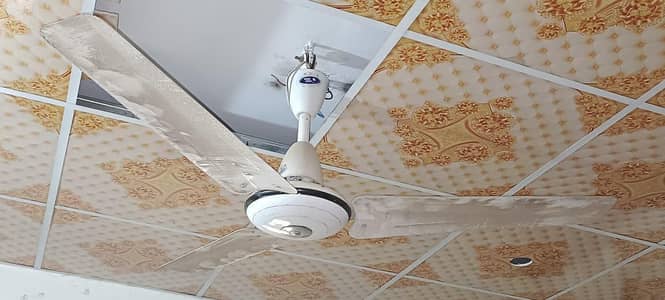 2 ceiling fans