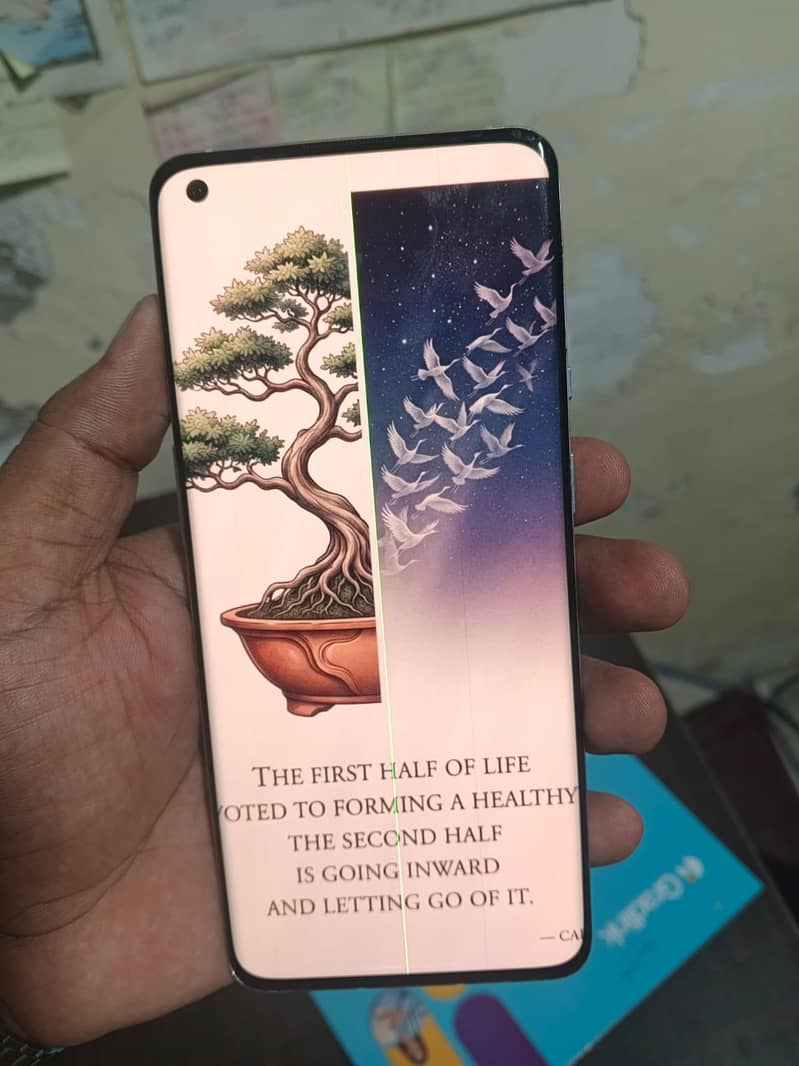 One Plus 9 Pro 3