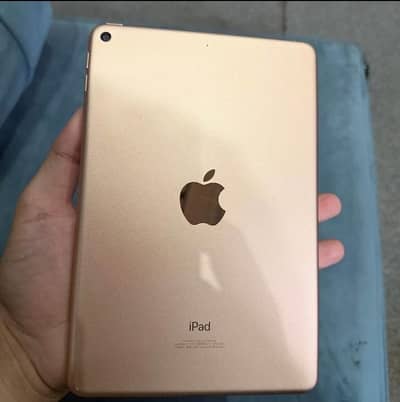ipad mini 5