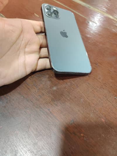 12 pro max