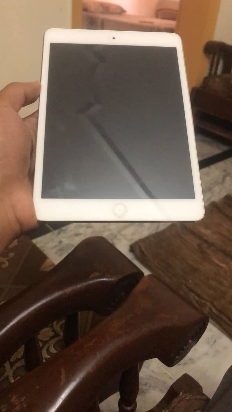 Ipad mini 3 0