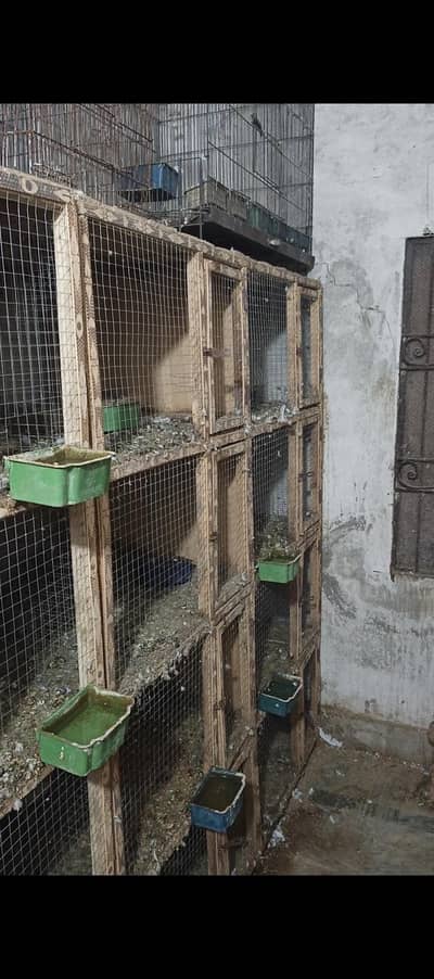 birds cages for sale
