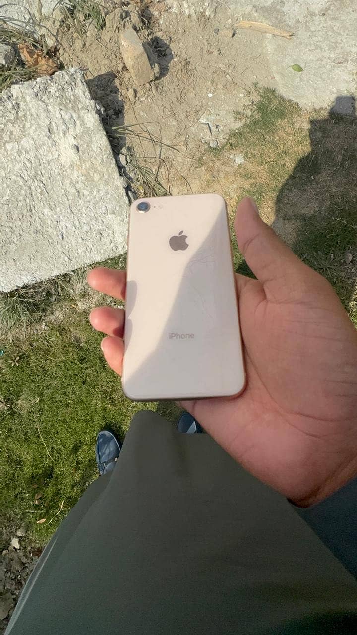 Apple iPhone 8 1