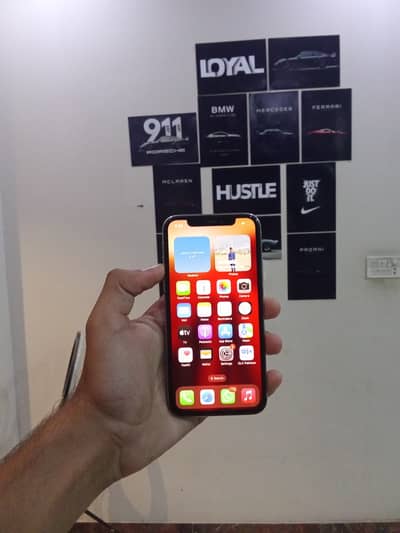 Apple iPhone X