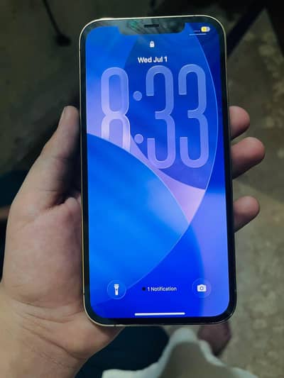 iPhone 12 pro max 512 gb factory unlock