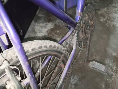 phonix cycle