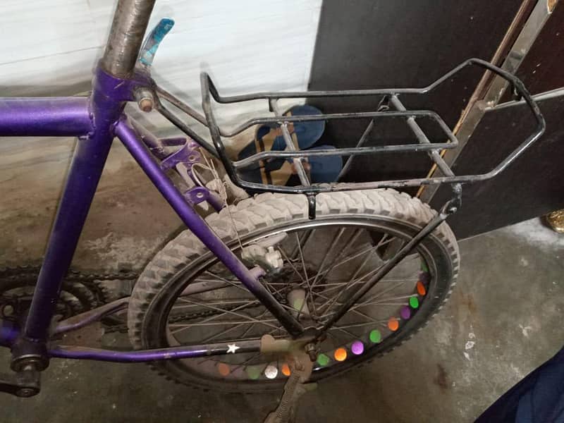 phonix cycle 2