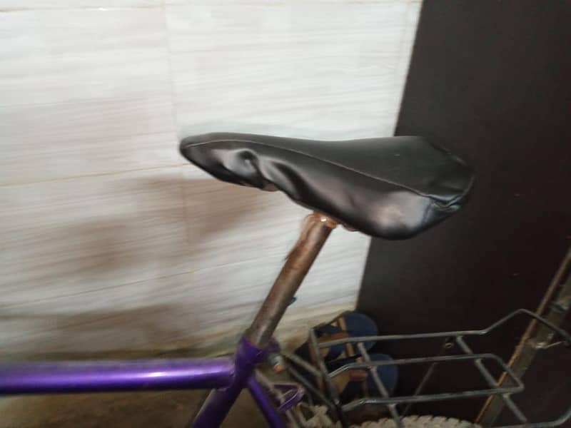 phonix cycle 3