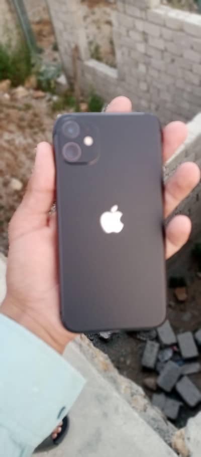 iphone 11 ha