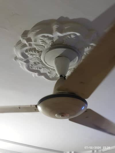 Ceiling fans for urgent sale