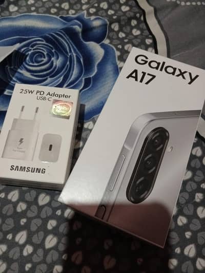 Samsung A17