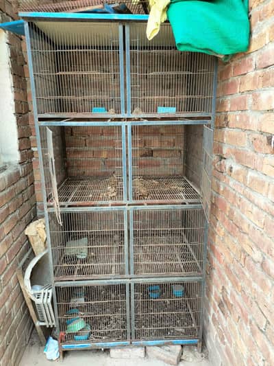 birds cage for sell