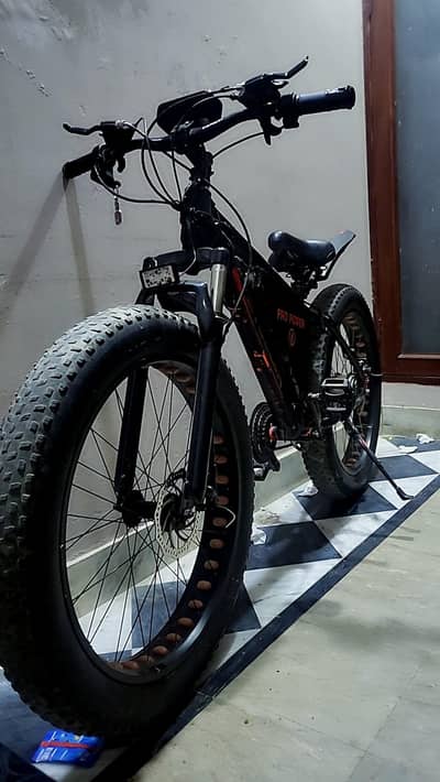 Eletric Fat Tire Bicycle