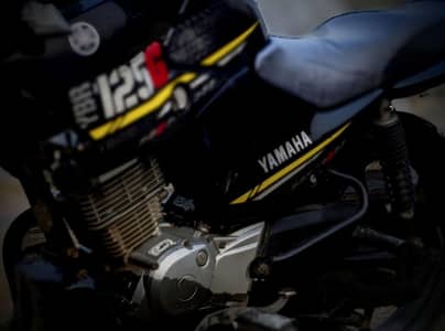 ybr 125g 20/21