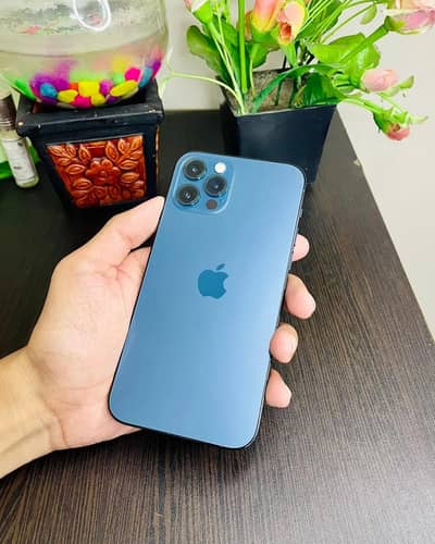 iPhone 12 Pro Max FU