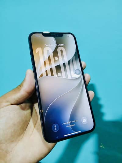Apple iPhone 12 Pro Max