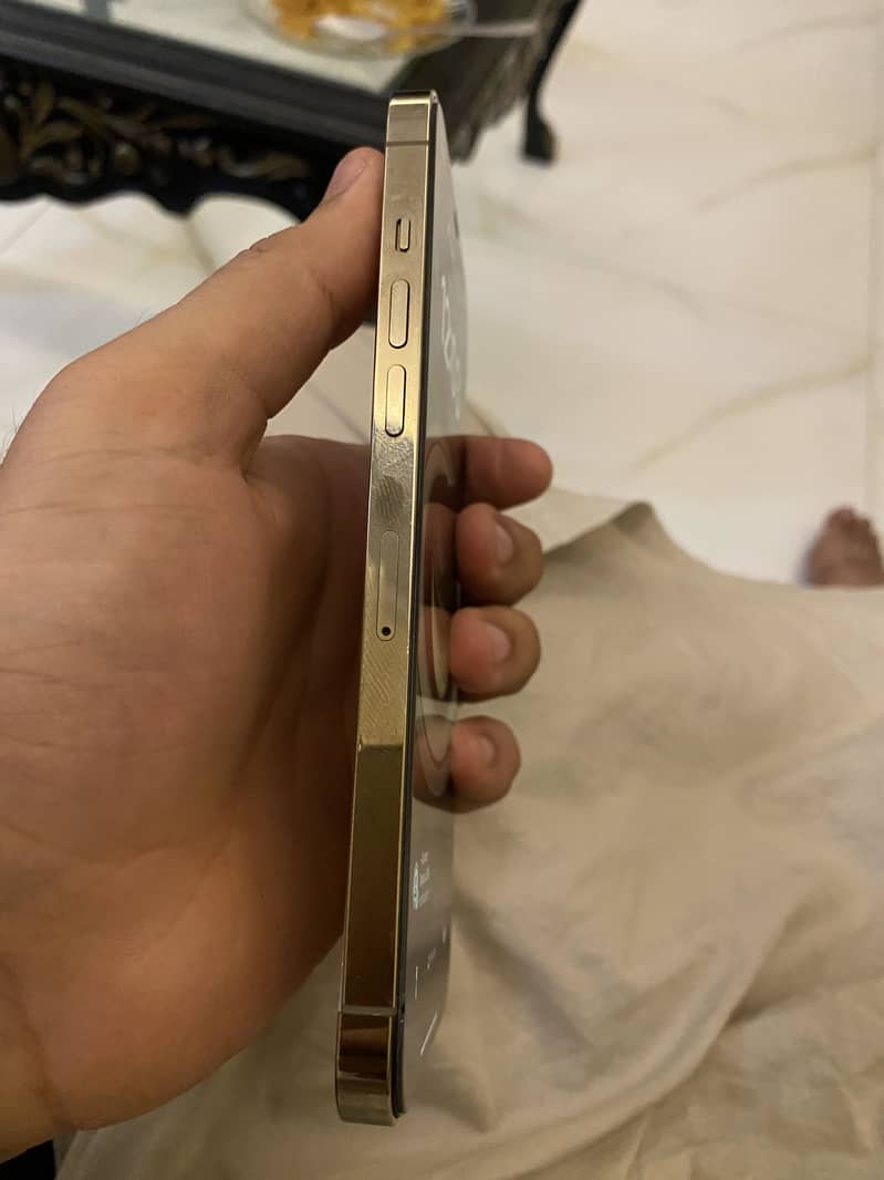 iPhone 12 Pro Max 0