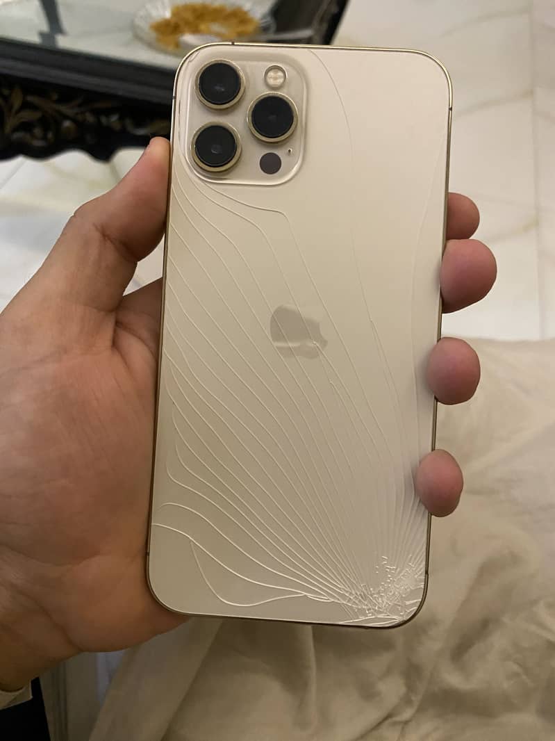 iPhone 12 Pro Max 1