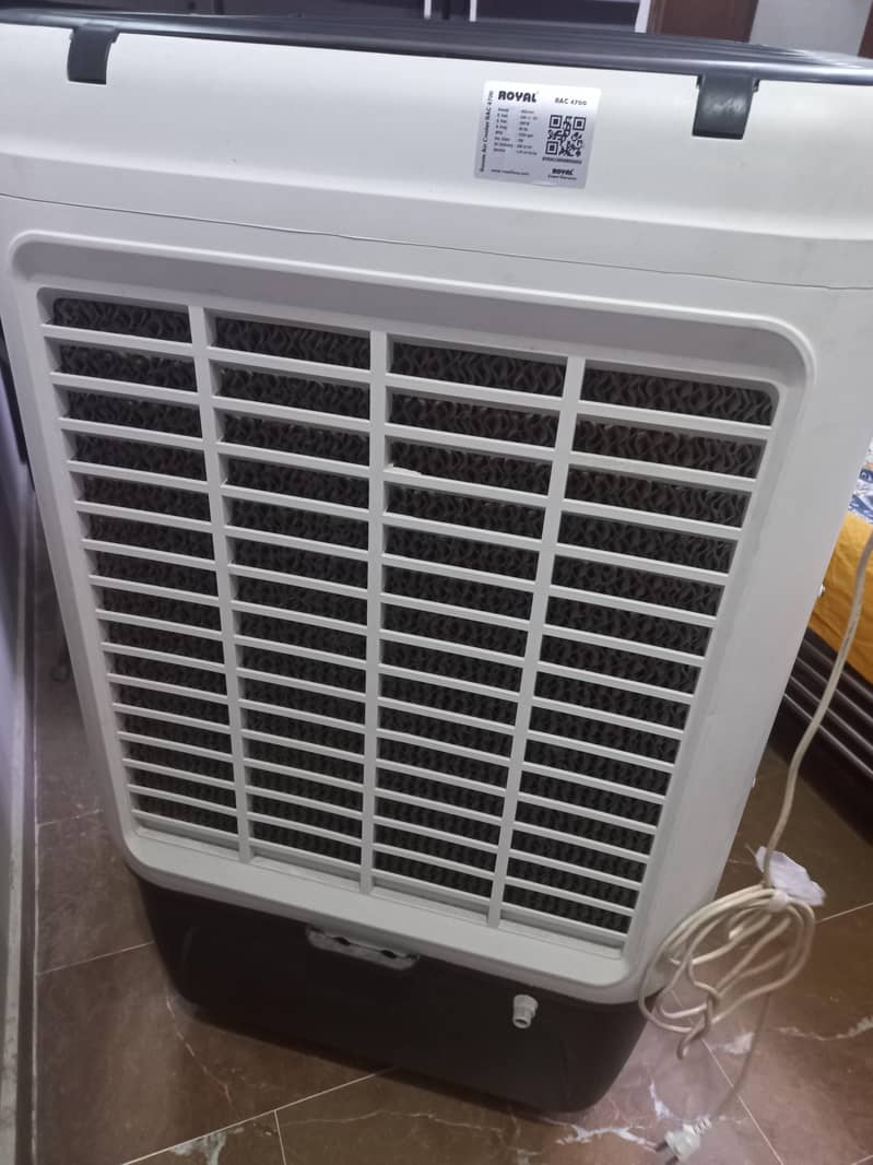 olx. . 1