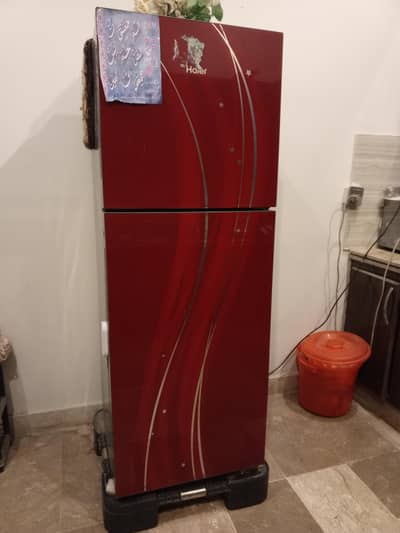 Haier Fridge Glass Door Medium Size