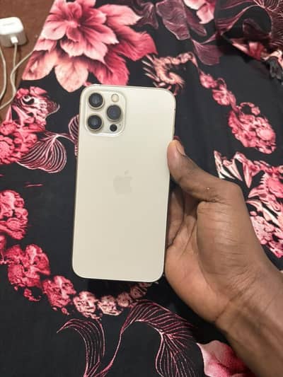 Apple iPhone 12 Pro Max