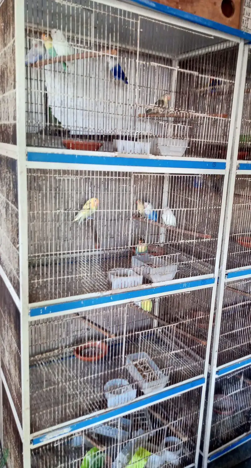 spot welding cages