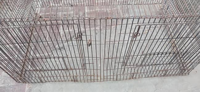 pigeon hen cage