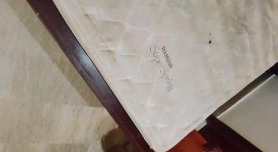Daimond Super Spring Foam for Bed Kind Size for Sale