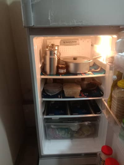 PEL Refrigerator