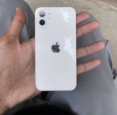 Apple iPhone 12