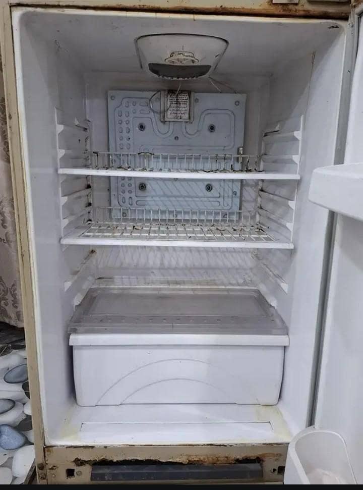 Waves Refrigerator 4