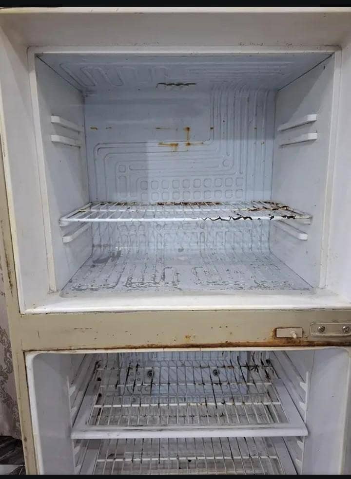 Waves Refrigerator 5