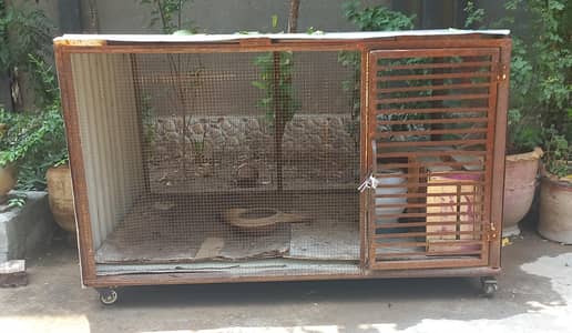 cage big size on wheels