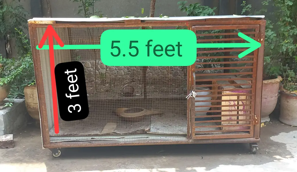 cage big size on wheels — photo 2