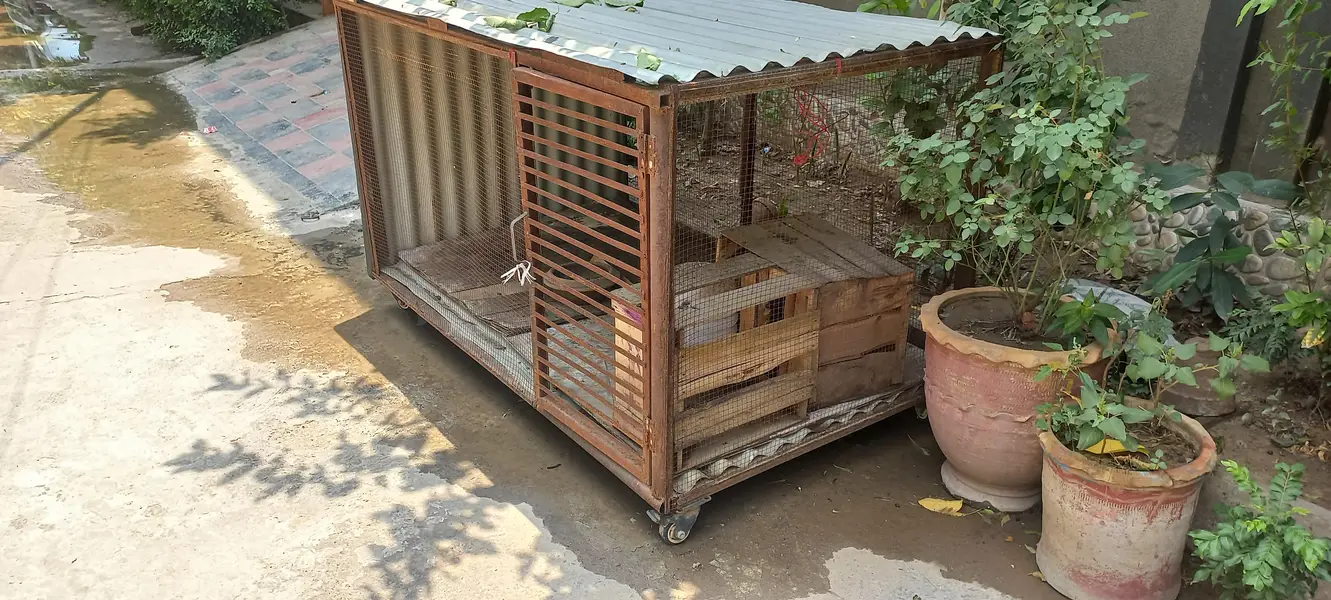 cage big size on wheels — photo 4