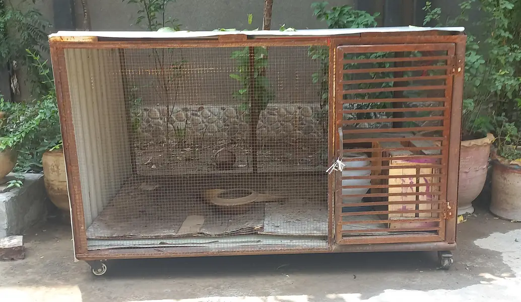 cage big size on wheels — photo 5