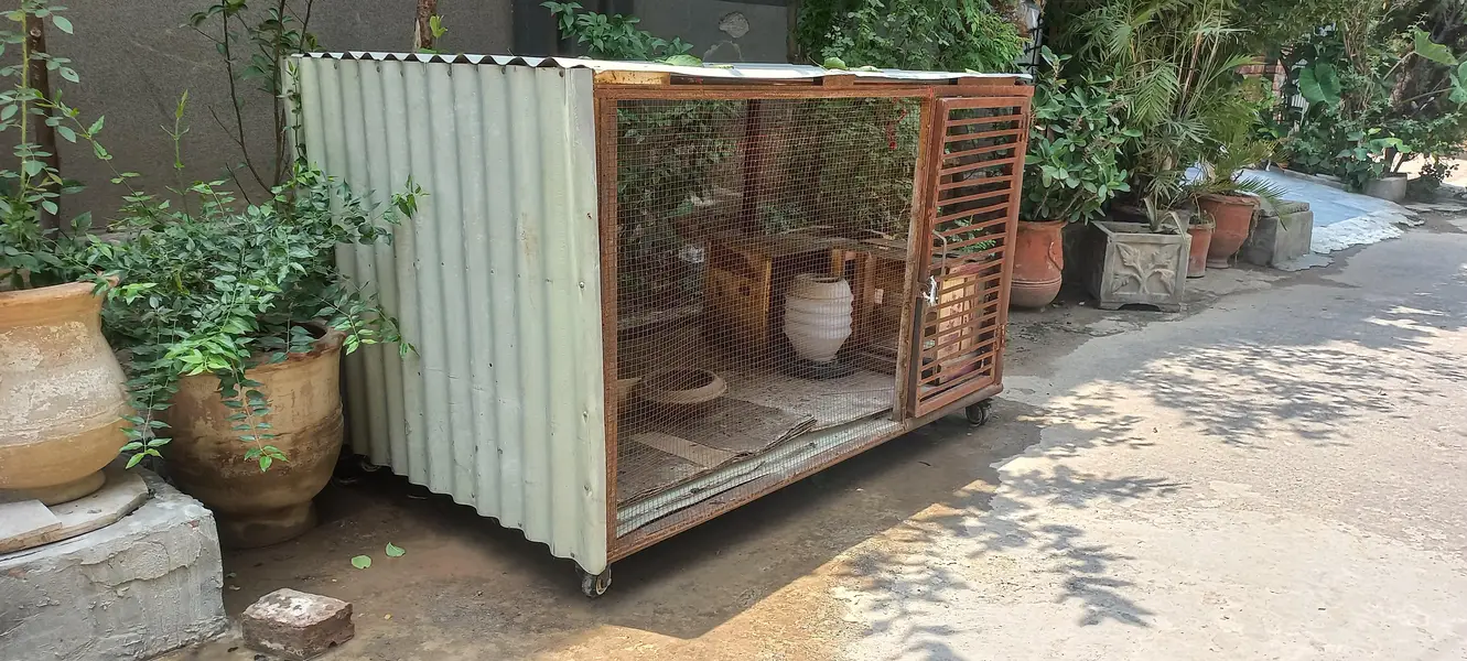 cage big size on wheels — photo 6