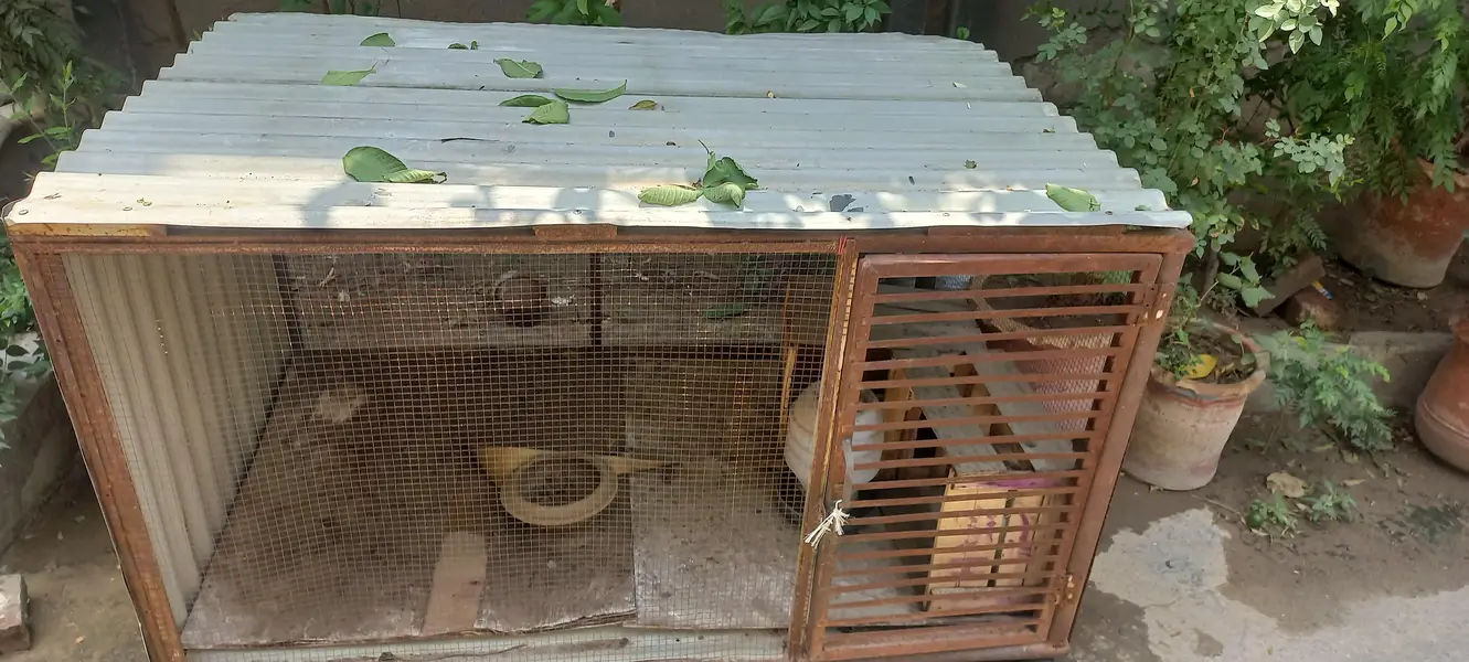 cage big size on wheels — photo 7