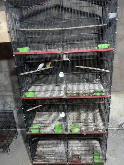 8 portion cage