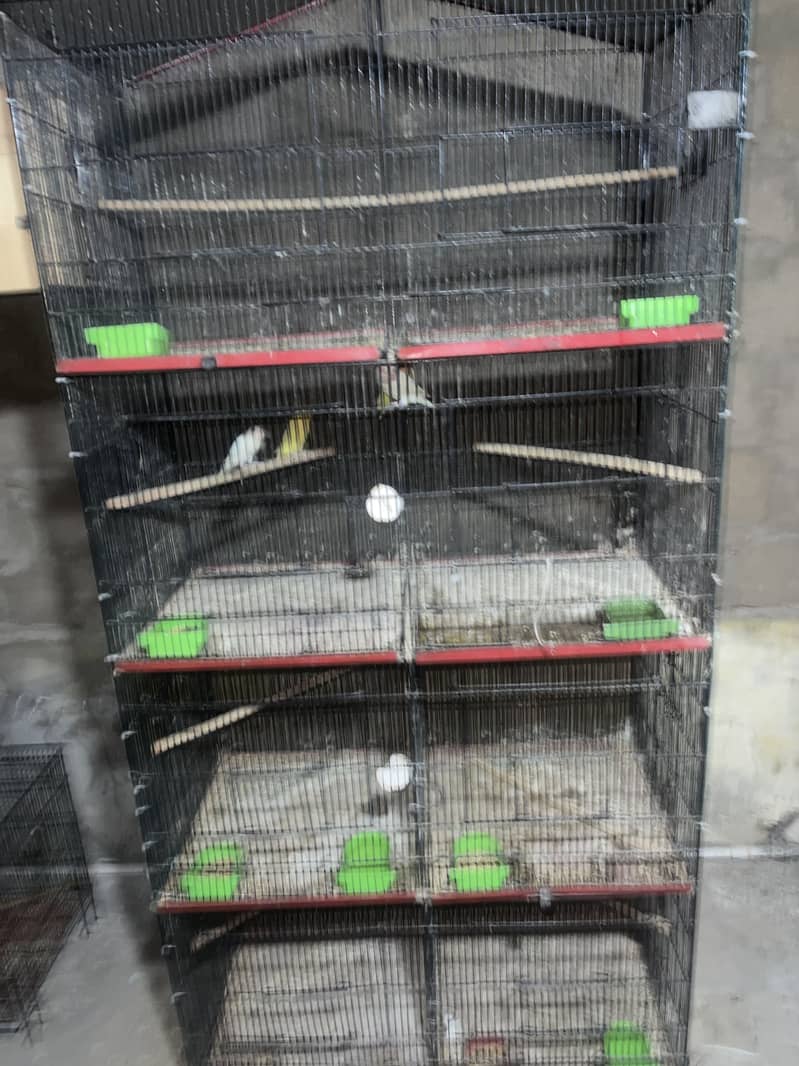 8 portion cage 1