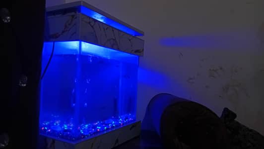 fish equriam 2.5 1.5
