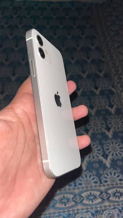 iPhone 12 panal chng