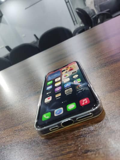 Apple iPhone X max