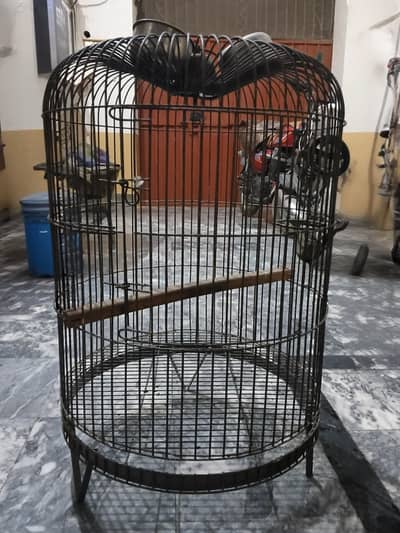 Raw and Other Bird Cage