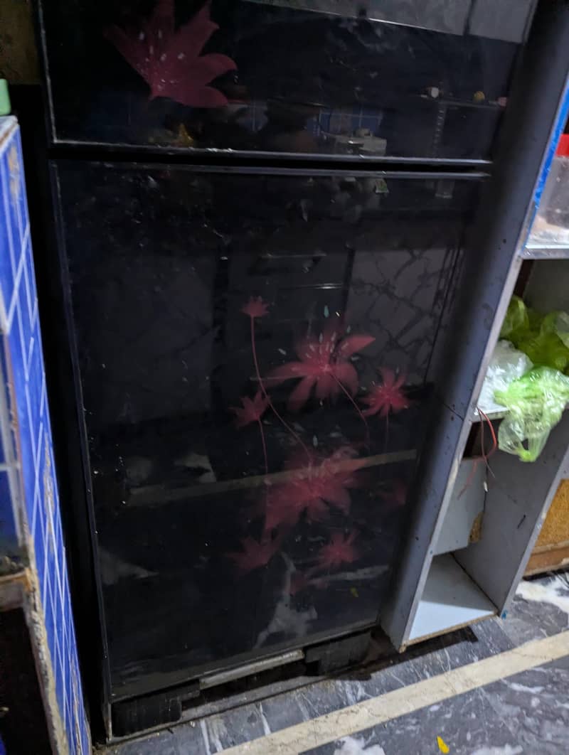 orient fridge 1